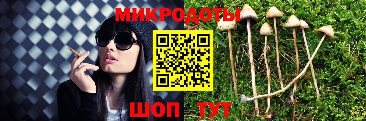 Псилоцибиновые грибы мицелий  Псилоцибиновые грибы Psilocybine cubensis  Вход с VPN  Зерноград 