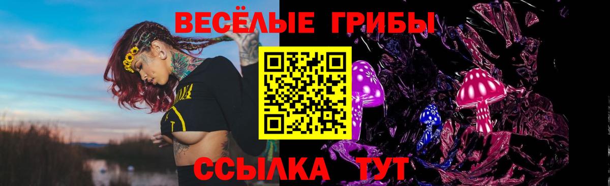 Галлюциногенные грибы MAGIC MUSHROOMS Зерноград
